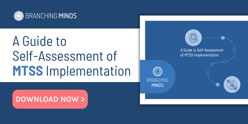 a-guide-to-self-assessment-of-mtss-implementation